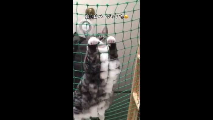 少し顔を上げて