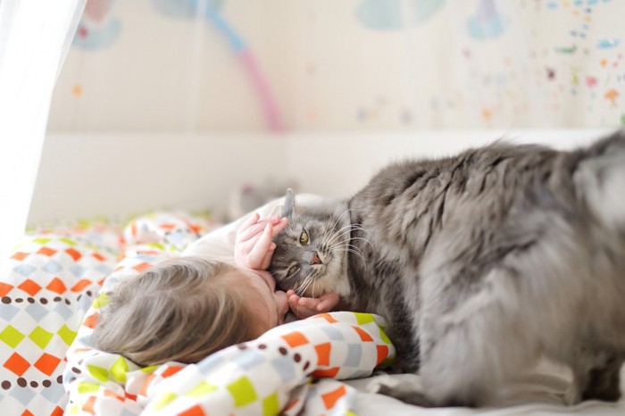 子供を起こす猫