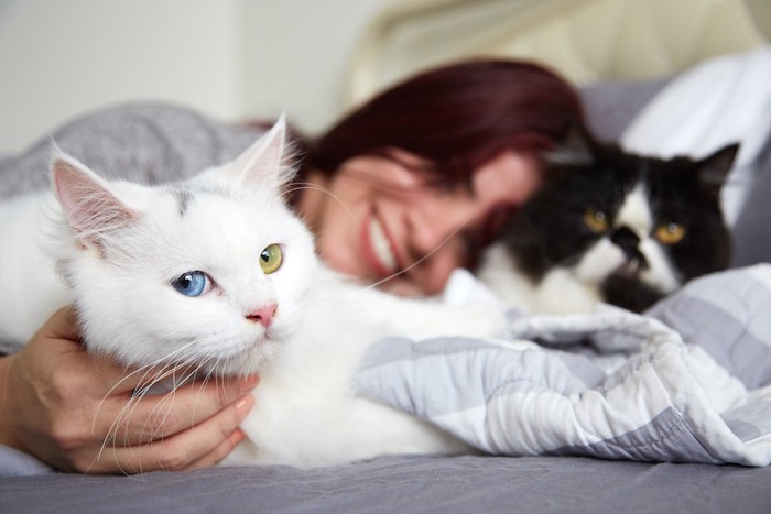 ベットでくつろぐ女性と二匹の猫