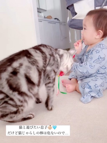 赤ちゃんにスリスリする猫