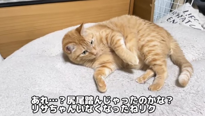 あれ…?