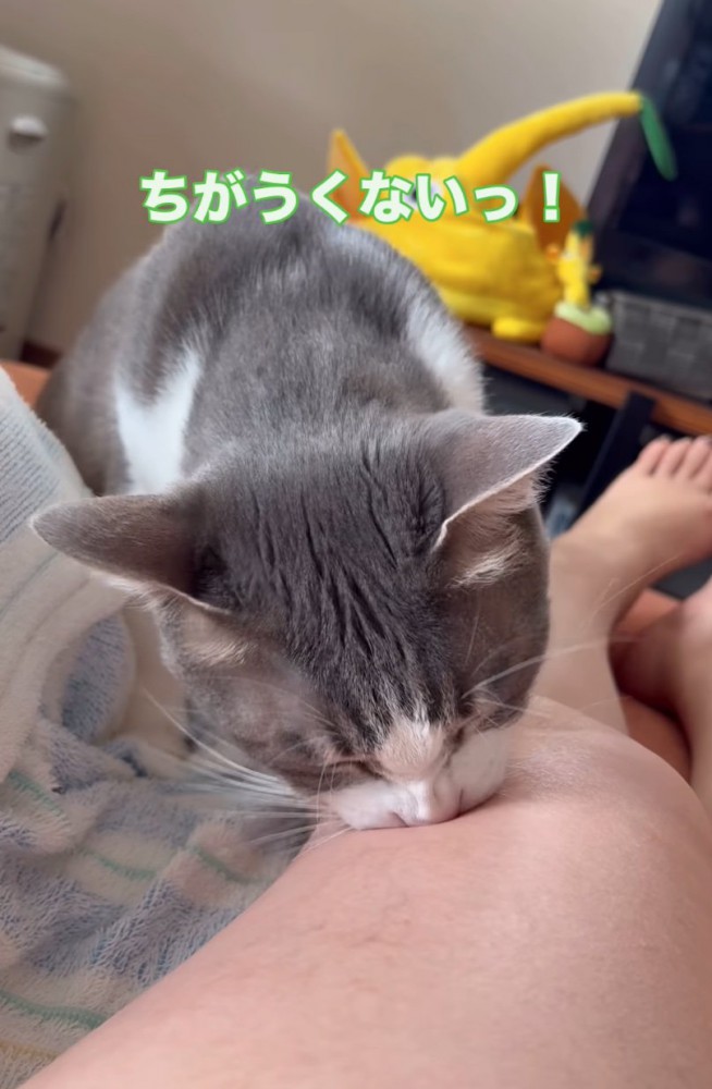 「違くない」
