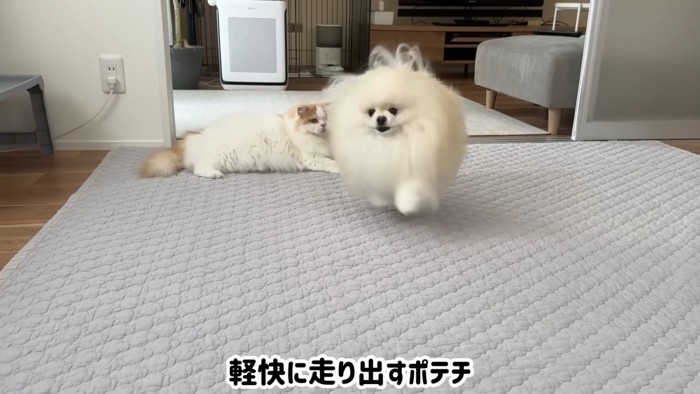 軽快に走り出す