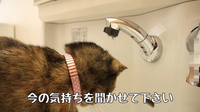 今の気持ちは？