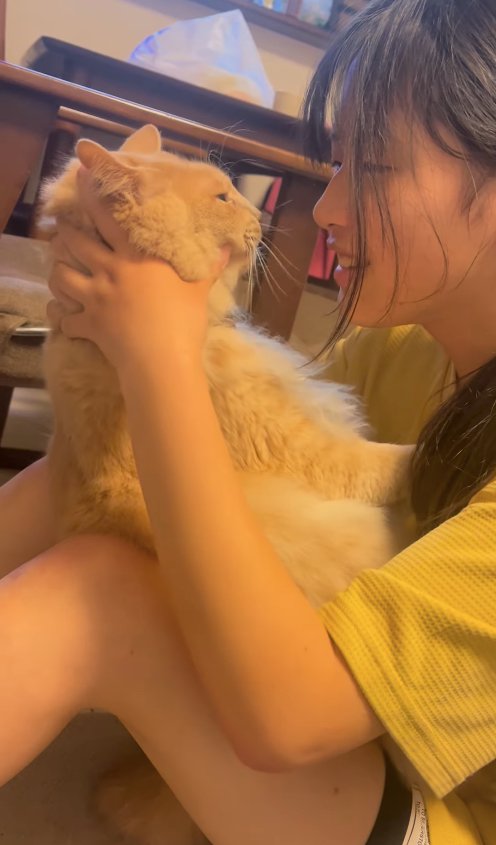 飼い主の膝に乗せられて目を開けている猫