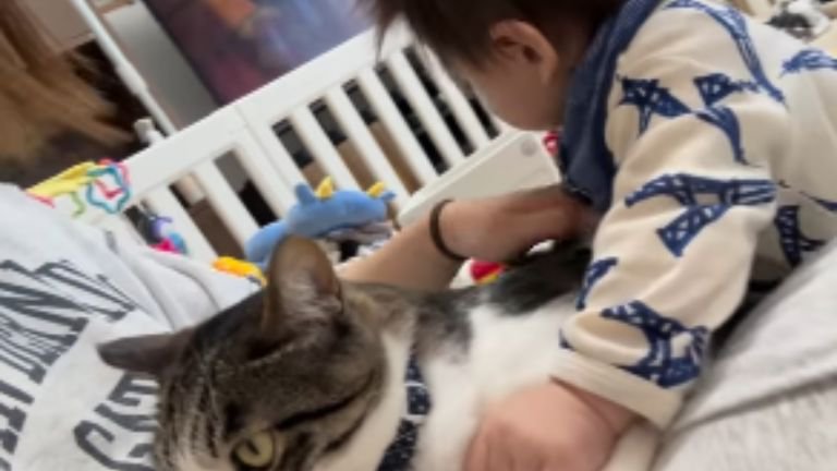 赤ちゃんと猫