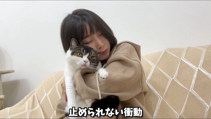 立ち耳の猫を強く抱きしめる女性