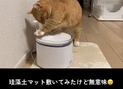 珪藻土マットからはみ出る水