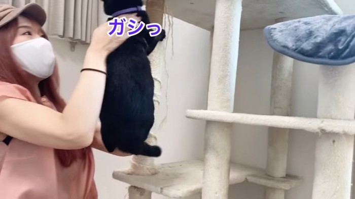 キャットタワーの柱にしがみつく猫