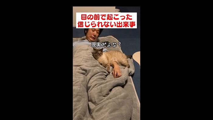 現実だよな？
