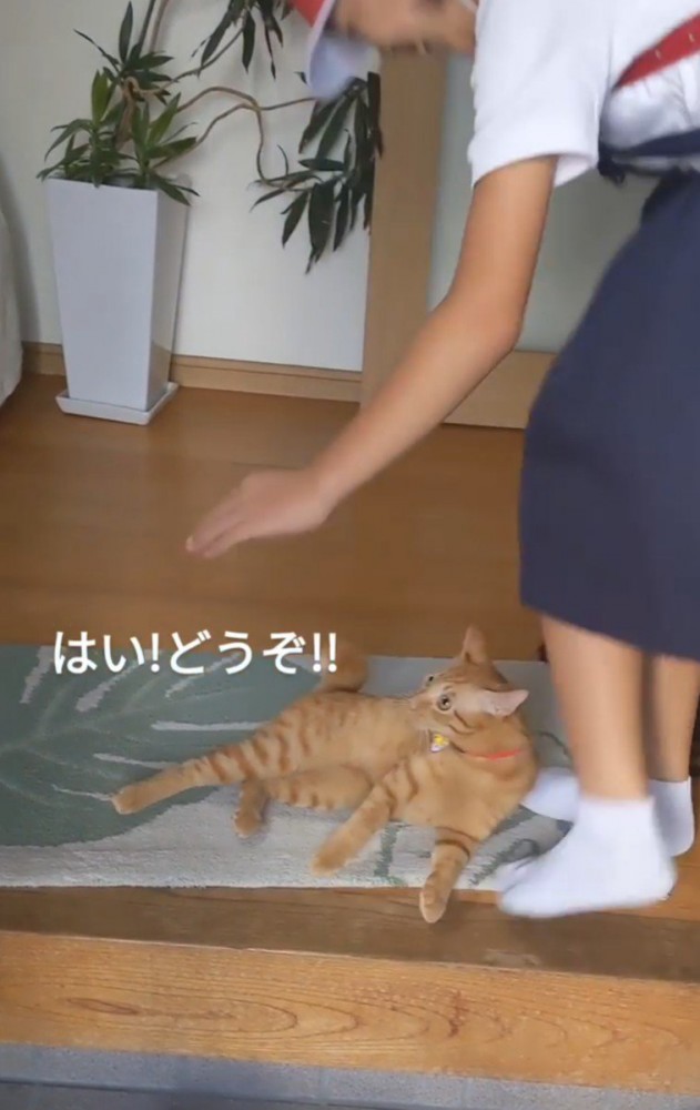 女の子と猫