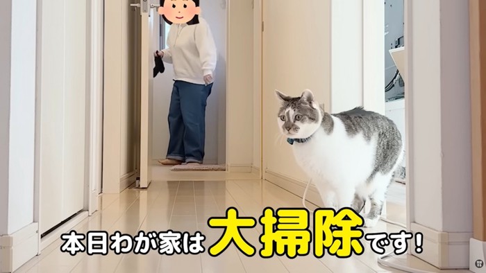 テロップ「本日わが家は～」