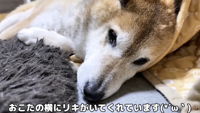 横で寄り添うリキくん