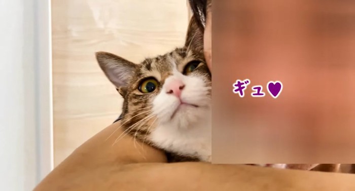 抱っこされる猫