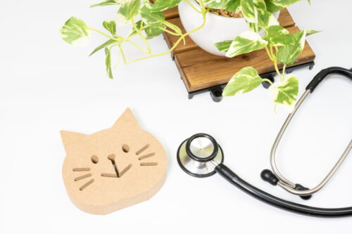猫をかたどった木のブロックと聴診器