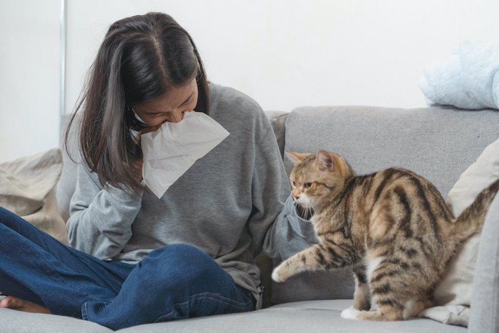 猫のそばでくしゃみをする女性