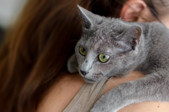 女性に抱き着く猫