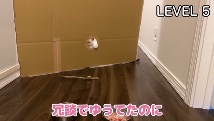 冗談で
