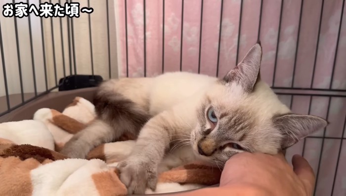 スリッ