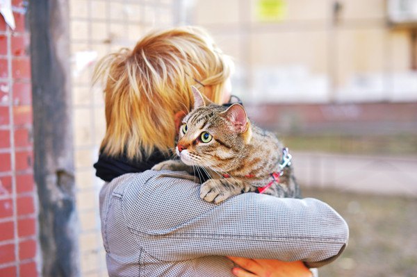 子供に抱っこされるキジ猫