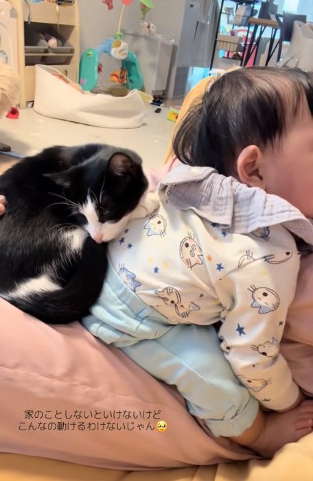 顔が完全に見切れている赤ちゃんの背中に乗って丸くなる猫