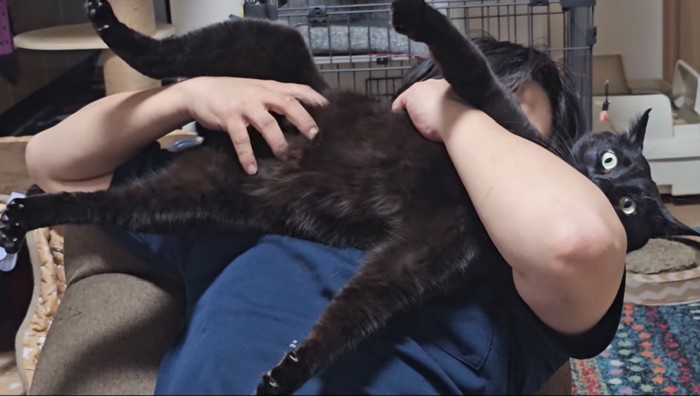 猫吸いされる猫2