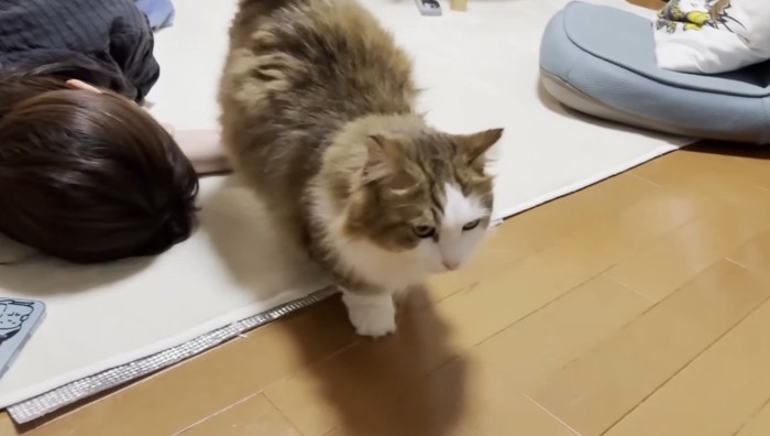 立ち去って