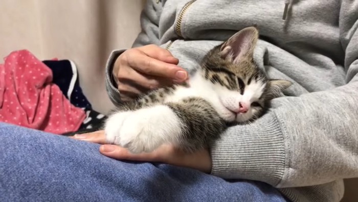 うとうと