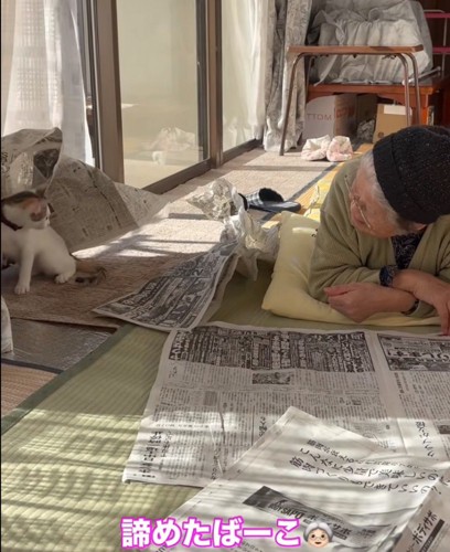 猫を見つめるおばあちゃん