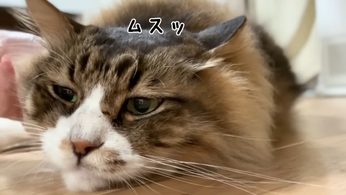 ムスッ