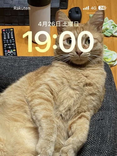 19時のゆたくん