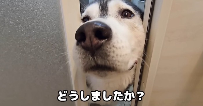 何かありましたか？