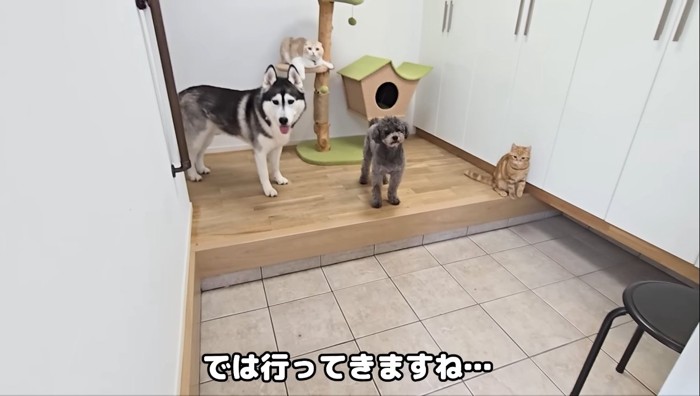 お見送り