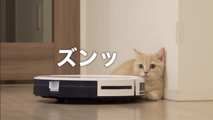 猫のほうへ向かうロボット掃除機