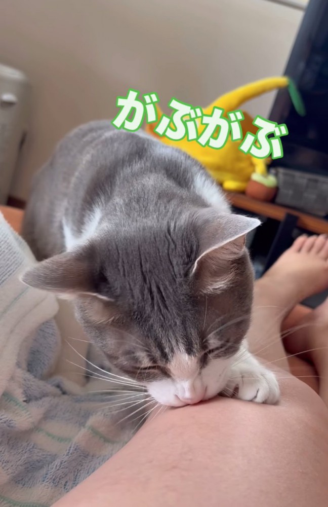 ホクロを噛む