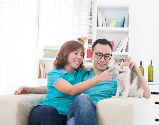 猫をかわいがるアジア人夫婦