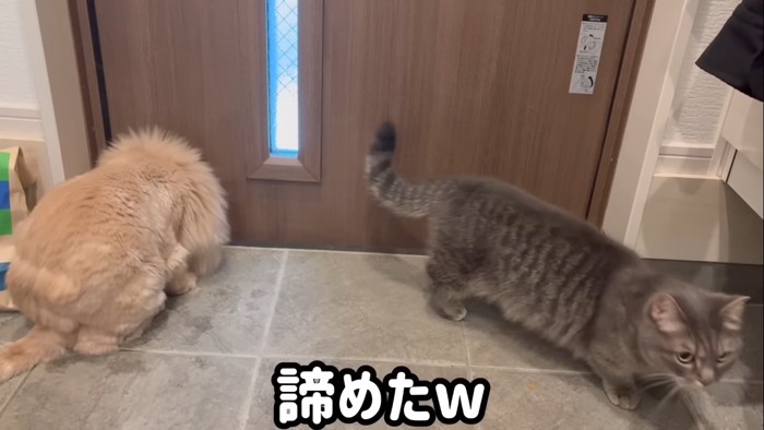 諦めた