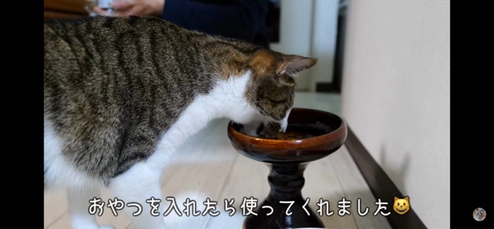 食べる