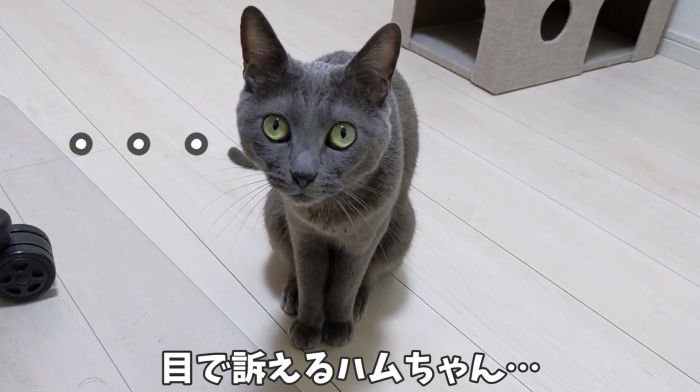 ママにはテレパシー