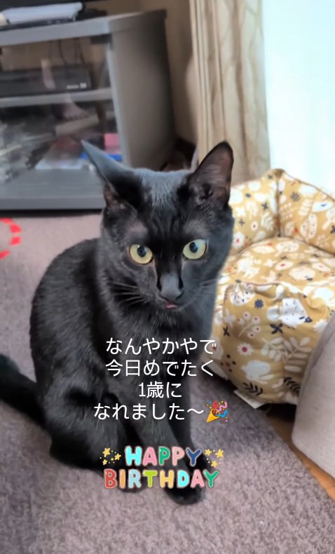 しまい忘れ
