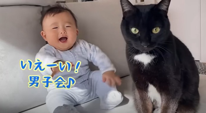 赤ちゃんと黒猫（いえーい！男子会♪）