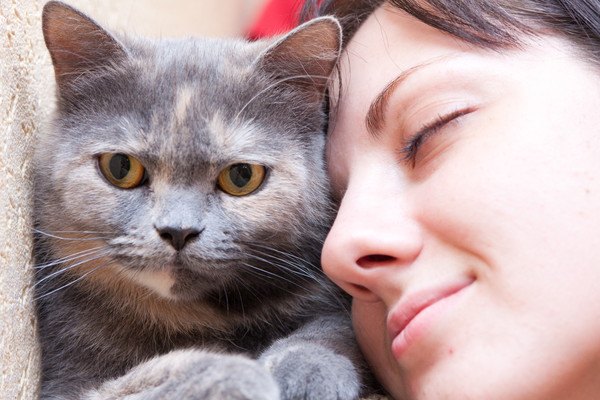 飼い主が猫に甘える