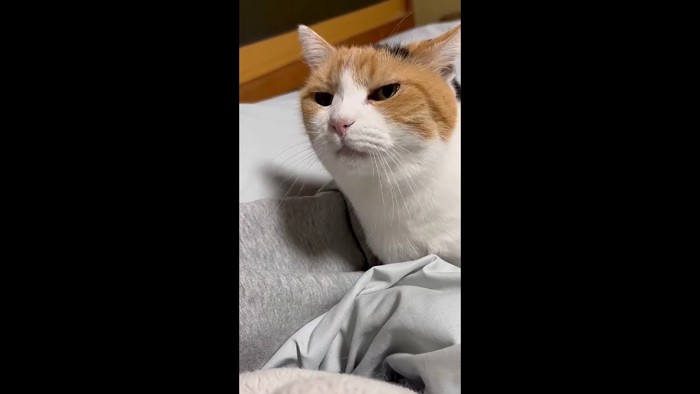 こちらに視線を