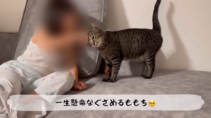 テロップ「一生懸命なぐさめる~」