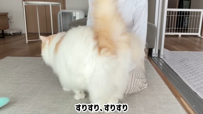 すりすり、すりすり