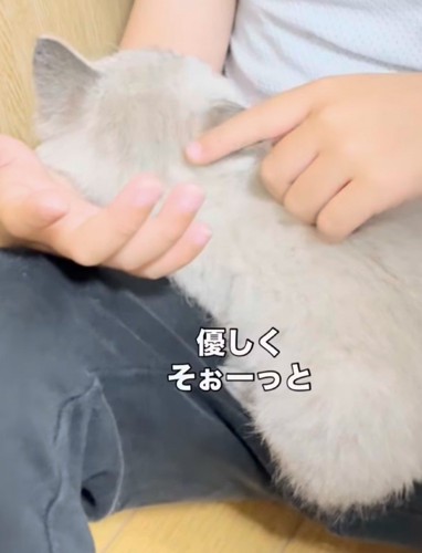 「優しくそぉーっと」のテロップ写真