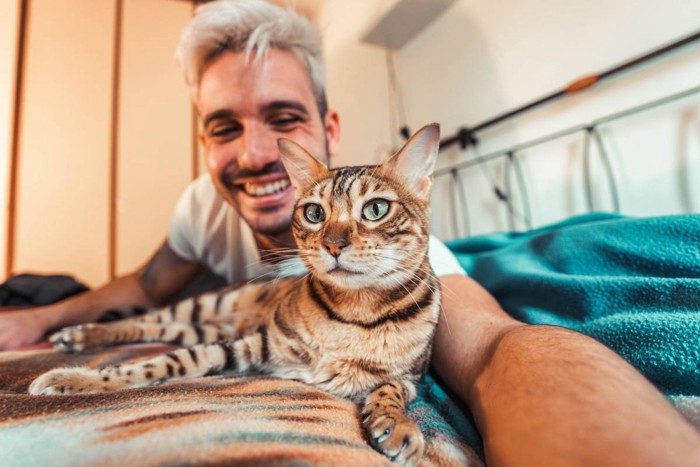 飼い主の白人男性とくつろぐベンガル猫