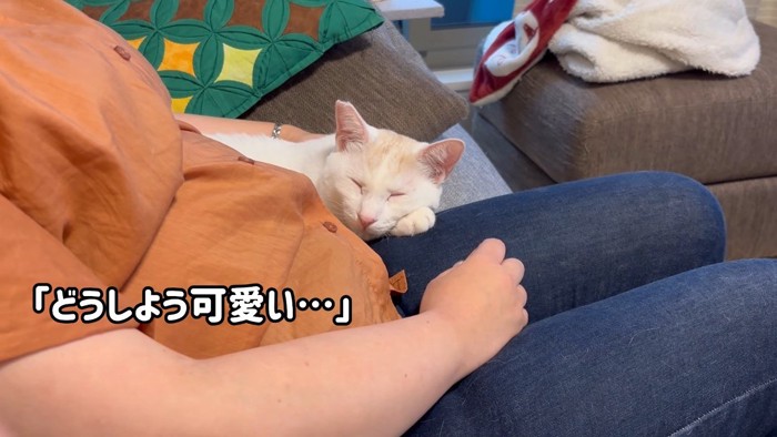 添い寝
