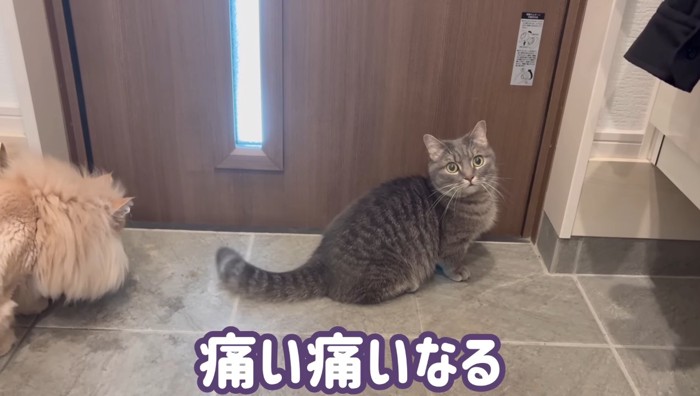 痛い痛いなる