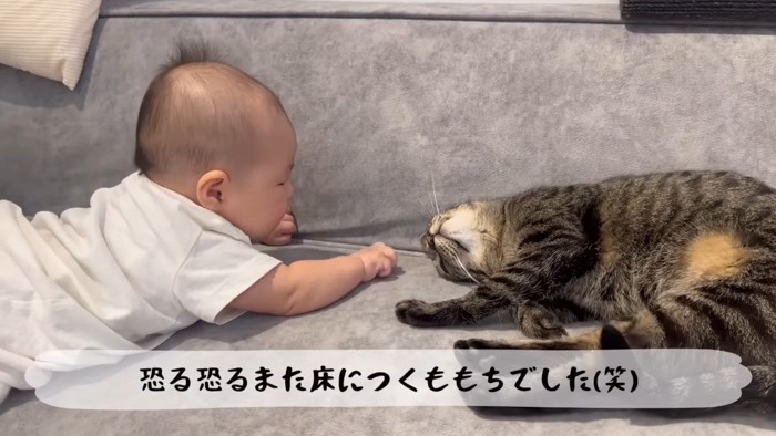 恐る恐る